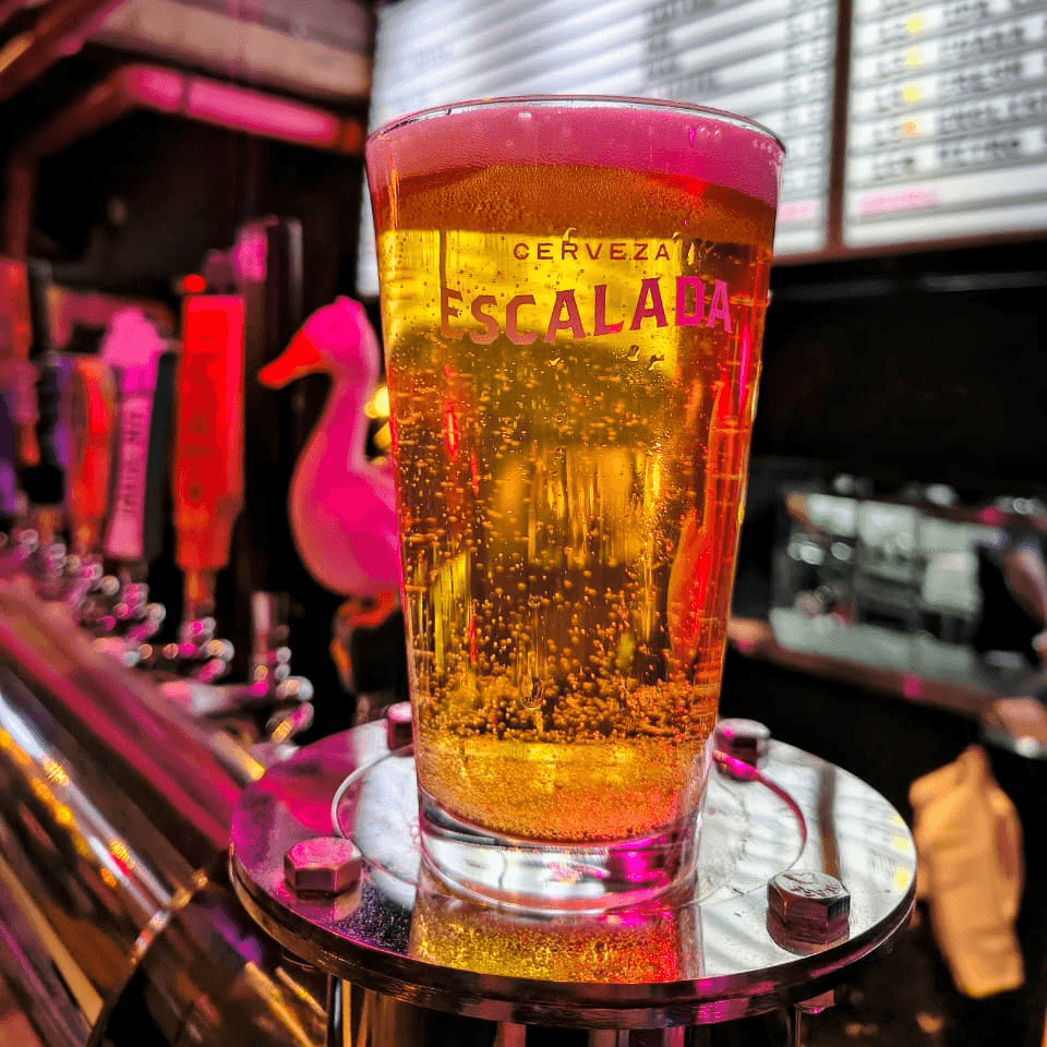VASO ESCALADA