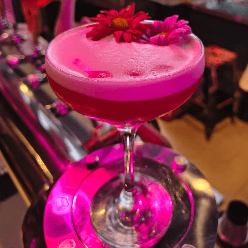 CLOVER CLUB