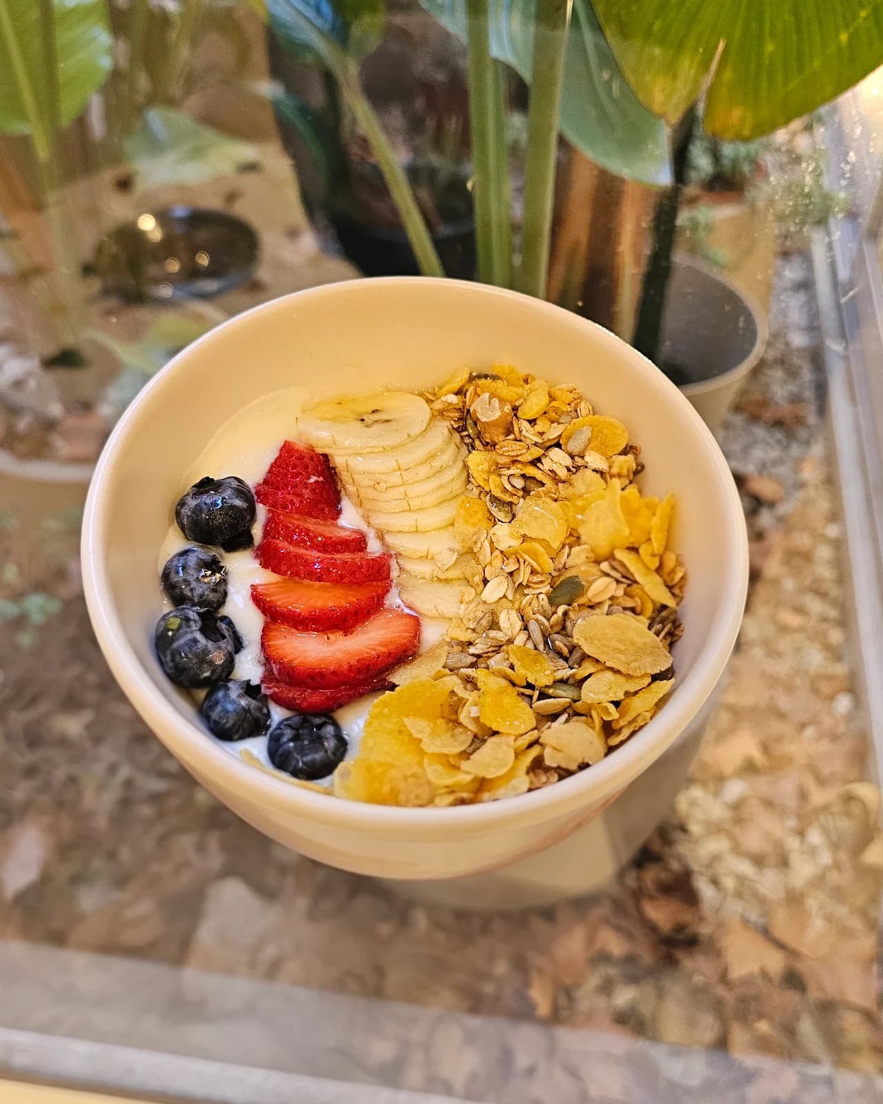 Yogurt natural