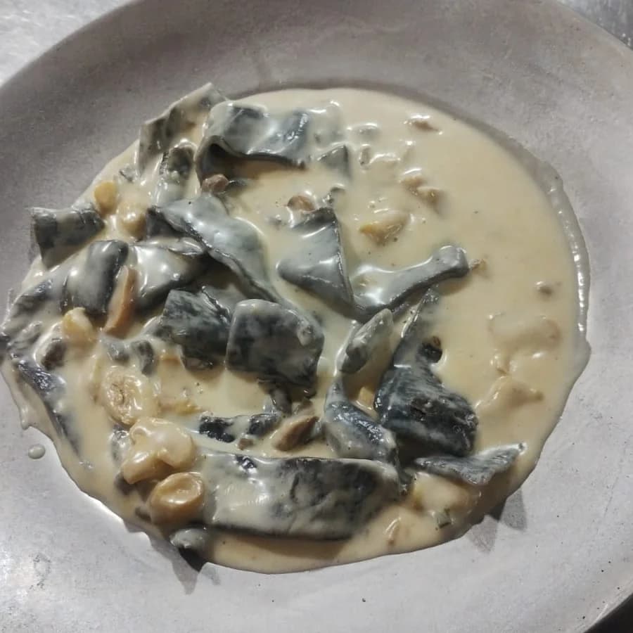 Special fresh noodles