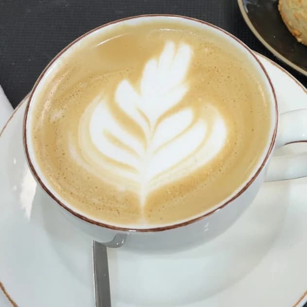Latte Mediano
